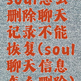 soul怎么删除聊天记录不能恢复(soul聊天信息怎么删除)