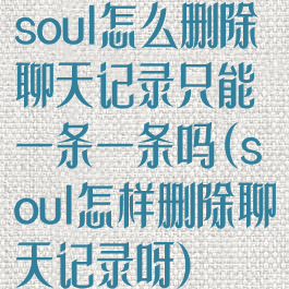 soul怎么删除聊天记录只能一条一条吗(soul怎样删除聊天记录呀)