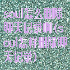 soul怎么删除聊天记录啊(soul怎样删除聊天记录)