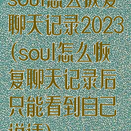 soul怎么恢复聊天记录2023(soul怎么恢复聊天记录后只能看到自己说话)