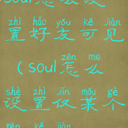 soul怎么设置好友可见(soul怎么设置仅某个人可见)