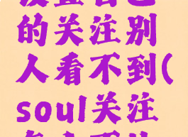 soul怎么设置自己的关注别人看不到(soul关注怎么不让人看见)