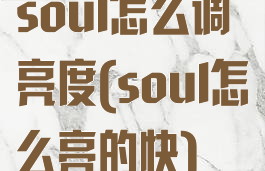 soul怎么调亮度(soul怎么亮的快)