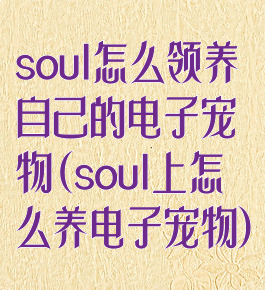 soul怎么领养自己的电子宠物(soul上怎么养电子宠物)