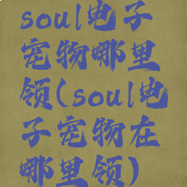 soul电子宠物哪里领(soul电子宠物在哪里领)