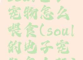 soul电子宠物怎么喂食(soul的电子宠物怎么玩)