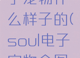 soul的电子宠物什么样子的(soul电子宠物全图鉴)