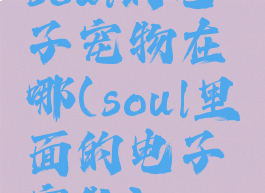 soul的电子宠物在哪(soul里面的电子宠物)