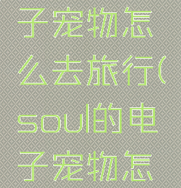 soul的电子宠物怎么去旅行(soul的电子宠物怎么弄)