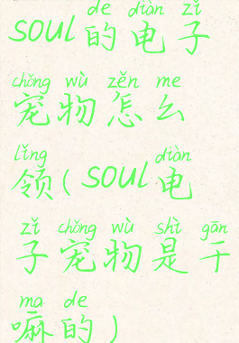 soul的电子宠物怎么领(soul电子宠物是干嘛的)