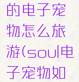 soul里面的电子宠物怎么旅游(soul电子宠物如何出游)