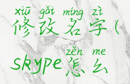 skype如何修改名字(skype怎么修改资料)