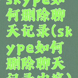 skype如何删除聊天记录(skype如何删除聊天记录内容)