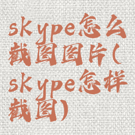 skype怎么截图图片(skype怎样截图)