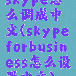 skype怎么调成中文(skypeforbusiness怎么设置中文)