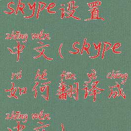 skype设置中文(skype如何翻译成中文)