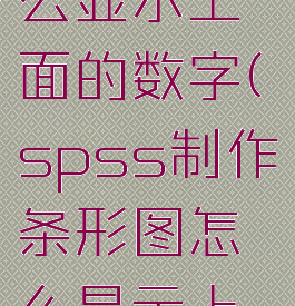 spss制作条形图怎么显示上面的数字(spss制作条形图怎么显示上面的数字和字母)