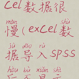 spss导入excel数据很慢(excel数据导入spss后不显示怎么办)