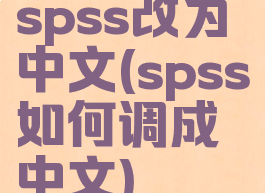 spss改为中文(spss如何调成中文)