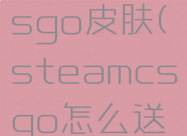 steam怎么送好友csgo皮肤(steamcsgo怎么送给朋友皮肤)