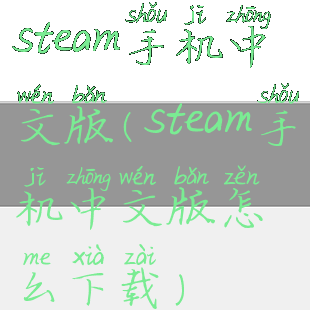 steam手机中文版(steam手机中文版怎么下载)