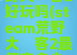 steam荒野大镖客2好玩吗(steam荒野大镖客2最便宜多少钱)