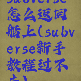 subverse怎么返回船上(subverse新手教程过不去)