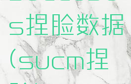 succubus捏脸数据(sucm捏脸)