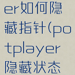 potplayer如何隐藏指针(potplayer隐藏状态栏)