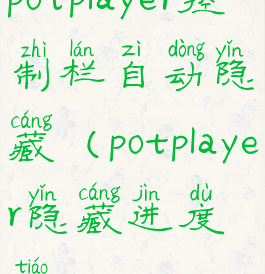 potplayer控制栏自动隐藏(potplayer隐藏进度条)