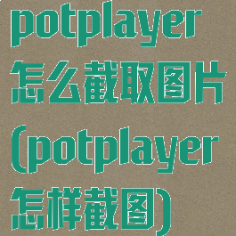 potplayer怎么截取图片(potplayer怎样截图)