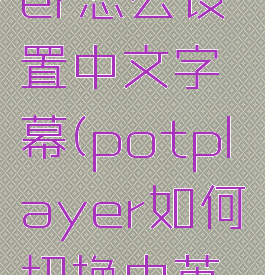 potplayer怎么设置中文字幕(potplayer如何切换中英双语)