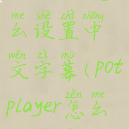 potplayer怎么设置中文字幕(potplayer怎么调语言)