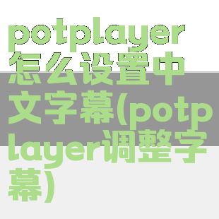 potplayer怎么设置中文字幕(potplayer调整字幕)