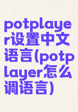 potplayer设置中文语言(potplayer怎么调语言)