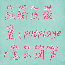 potplayer音频输出设置(potplayer怎么调声道)