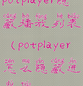 potplayer隐藏播放列表(potplayer怎么隐藏进度条)