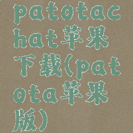 patotachat苹果下载(patota苹果版)