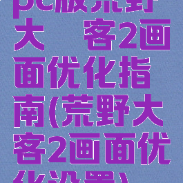 pc版荒野大镖客2画面优化指南(荒野大镖客2画面优化设置)