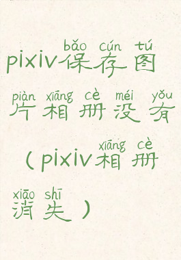 pixiv保存图片相册没有(pixiv相册消失)