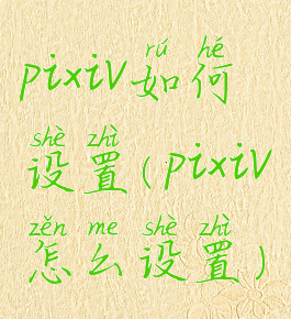 pixiv如何设置(pixiv怎么设置)