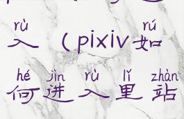 pixiv如何进入(pixiv如何进入里站)