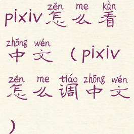 pixiv怎么看中文(pixiv怎么调中文)