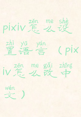 pixiv怎么设置语言(pixiv怎么改中文)