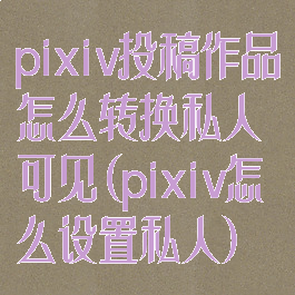 pixiv投稿作品怎么转换私人可见(pixiv怎么设置私人)