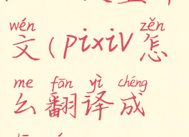 pixiv设置中文(pixiv怎么翻译成中文)