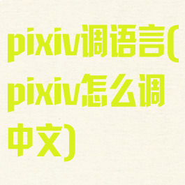 pixiv调语言(pixiv怎么调中文)