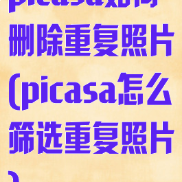 picasa如何删除重复照片(picasa怎么筛选重复照片)