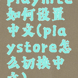 playnite如何设置中文(playstore怎么切换中文)