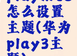 playnite怎么设置主题(华为play3主题)